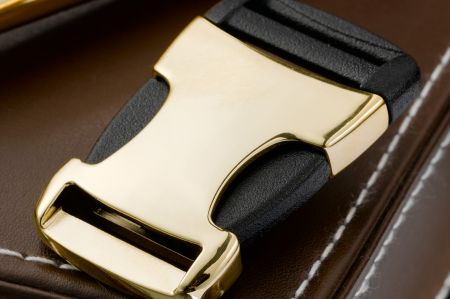 Buckle_Gold_Logo